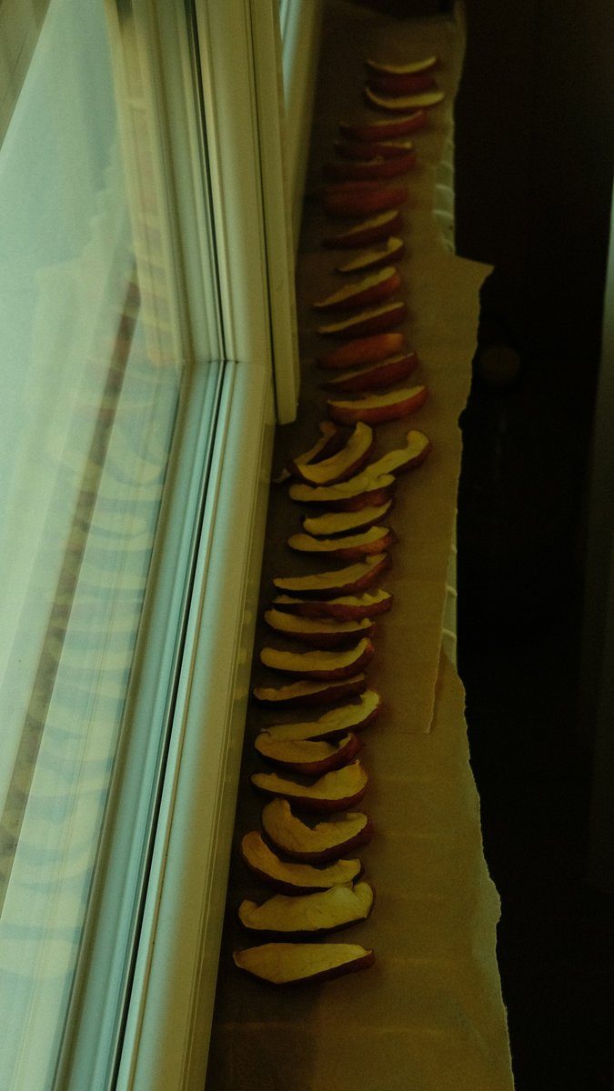 Tranches de fruits qui sèchent en file sur un rebord de fenêtre