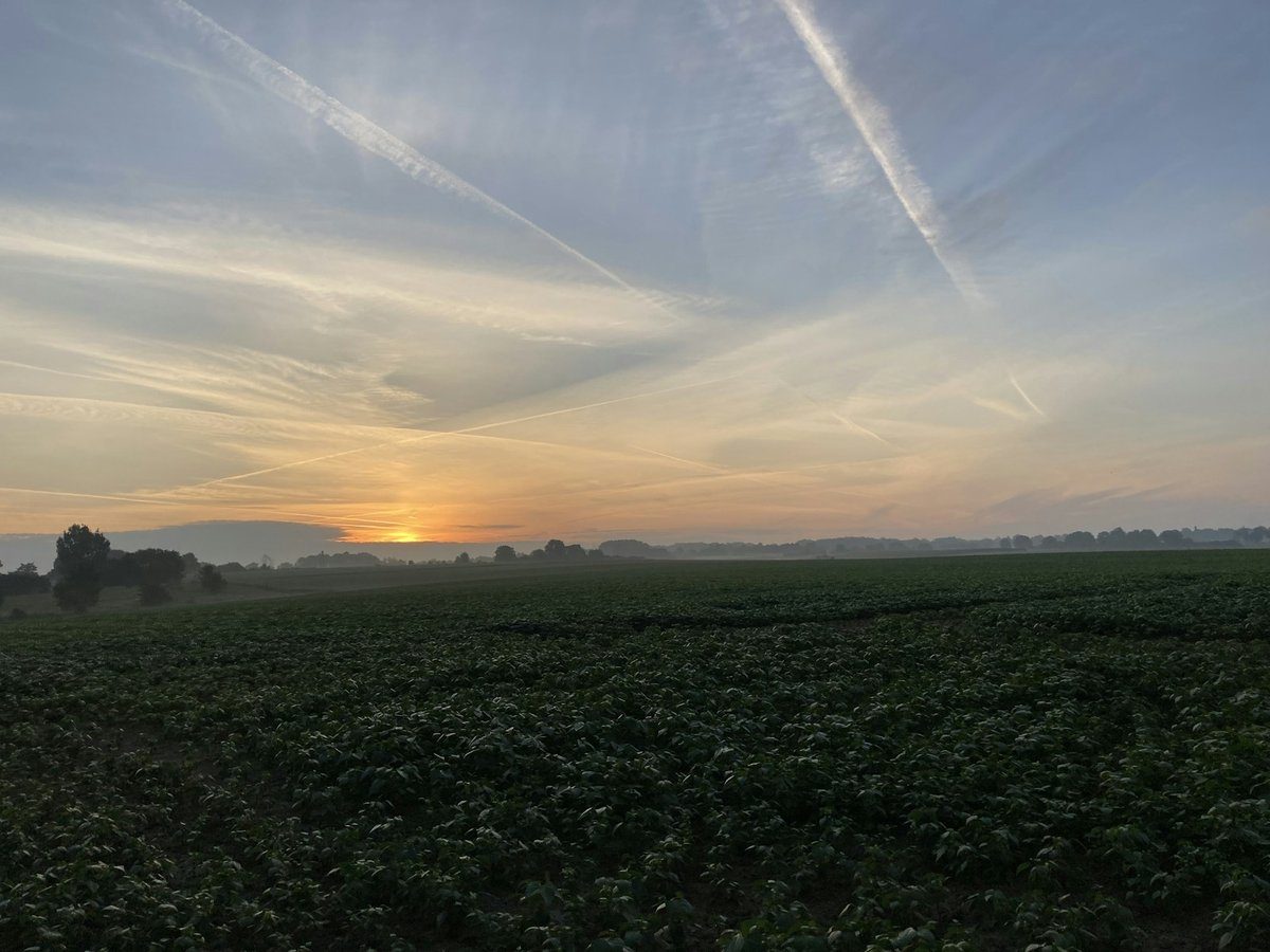 Champ cultivé baigné par la lumière rasante du soleil couchant